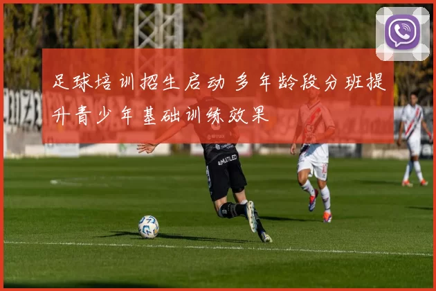 足球培训招生启动 多年龄段分班提升青少年基础训练效果