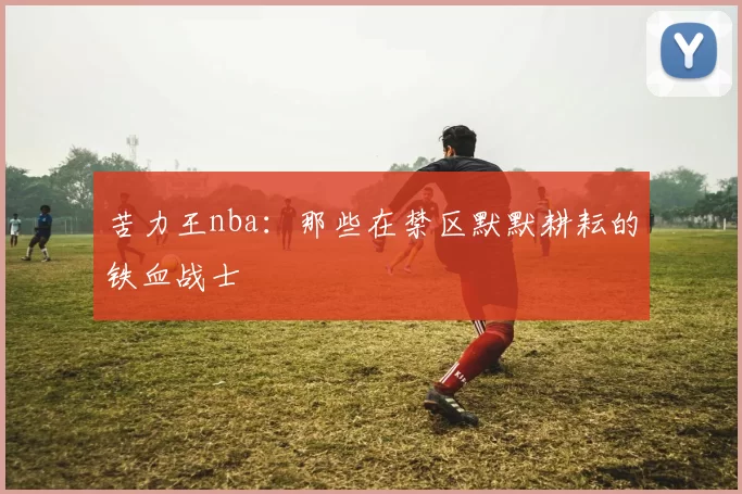 苦力王nba：那些在禁区默默耕耘的铁血战士