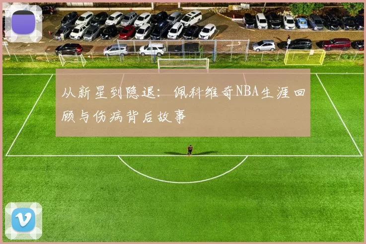 从新星到隐退：佩科维奇NBA生涯回顾与伤病背后故事