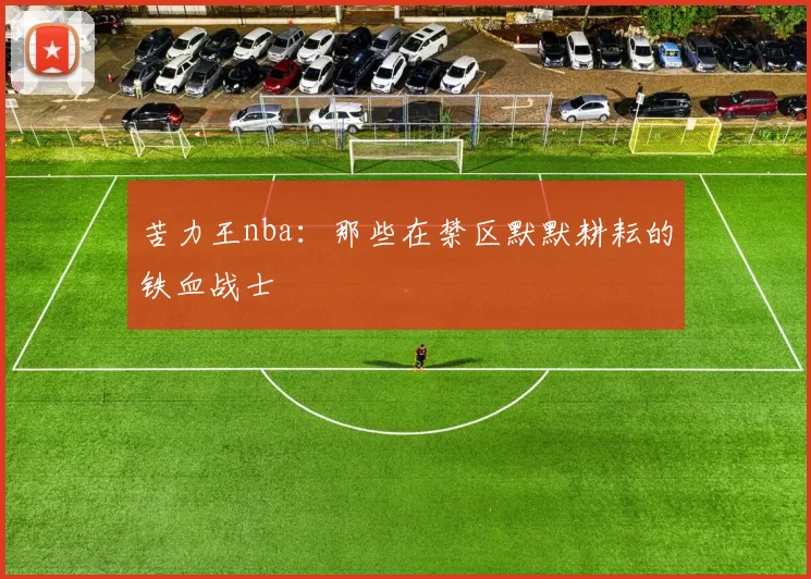 苦力王nba：那些在禁区默默耕耘的铁血战士