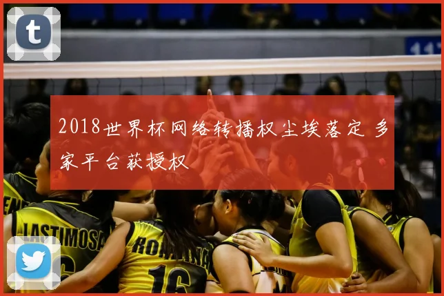 2018世界杯网络转播权尘埃落定 多家平台获授权