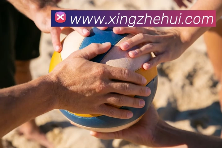 App Interface Preview